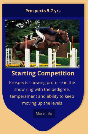 Starting Competition Prospects showing promise in the show ring with the pedigree, temperament and ability to keep moving up the levels Prospects 5-7 yrs  More Info