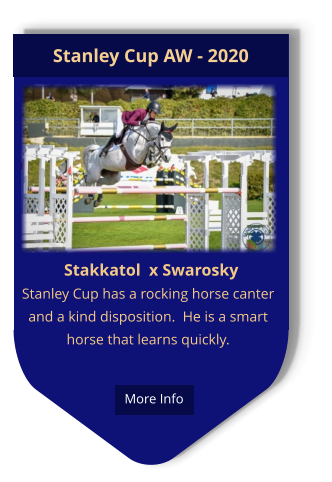 Stakkatol  x Swarosky Stanley Cup has a rocking horse canter and a kind disposition.  He is a smart horse that learns quickly. Stanley Cup AW - 2020  More Info