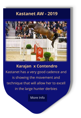 Karajan  x Contendro Kastanet has a very good cadence and is showing the movement and technique that will allow her to excell in the large hunter derbies Kastanet AW - 2019  More Info